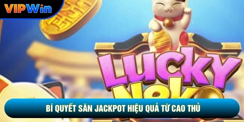 Slot Mèo Phú Quý Vipwin - 5 Biểu Tượng Tài Lộc Vàng Kích Hoạt Free Spin 5 Bí quyết săn jackpot hiệu quả từ cao thủ