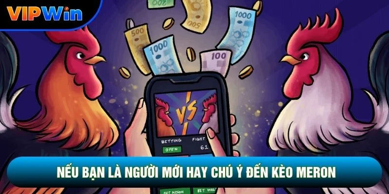 Đá Gà Cựa Sắt Vipwin - Trường Gà Thomo Livestream HD Trực Tiếp 3 Nếu bạn là người mới hay chú ý đến kèo Meron
