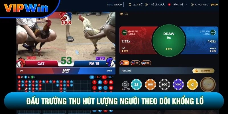 Cách Xem Đá Gà Trên Vipwin - Livestream Full HD Độ Trễ 0,02 Giây 4 Đấu trường thu hút lượng người theo dõi khổng lồ