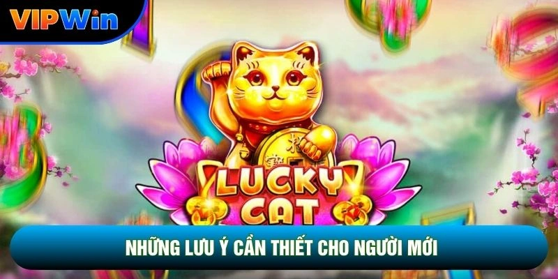 Slot Mèo Phú Quý Vipwin - 5 Biểu Tượng Tài Lộc Vàng Kích Hoạt Free Spin 6 Những lưu ý cần thiết cho người mới